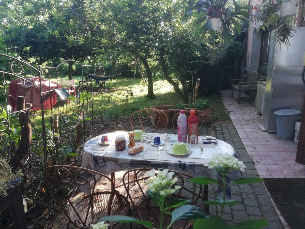 Camomilla Homestay *